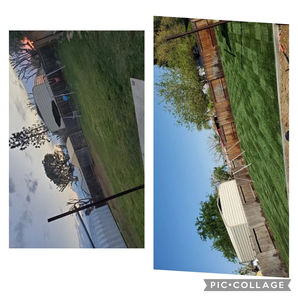 Local lawn care service for outdoor upgrades in Ventura, CA by Viveros Landscaping