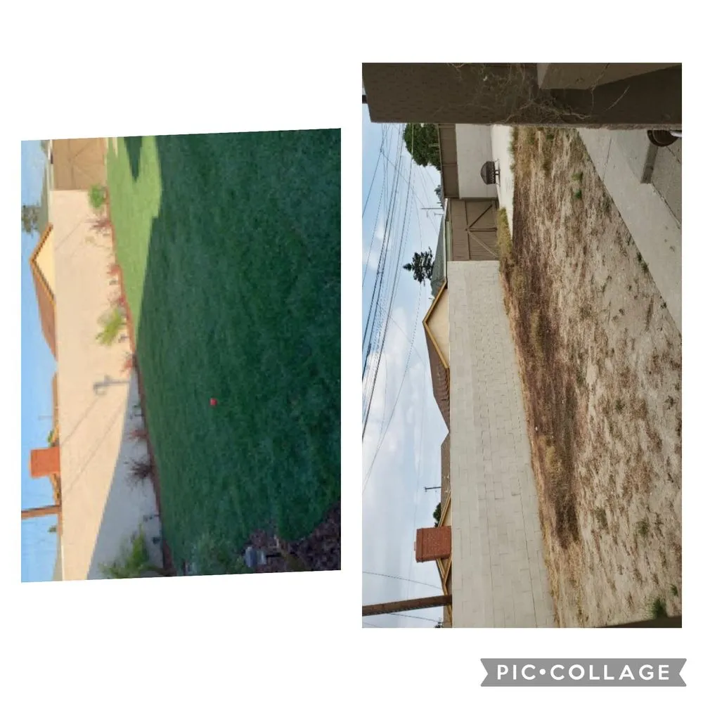 Custom landscape design for homes across Ventura, CA - Viveros Landscaping