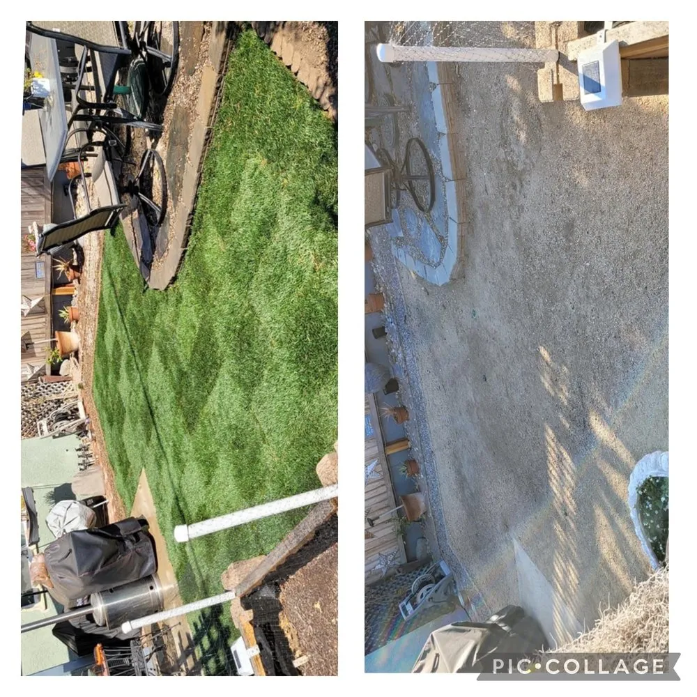 Top-rated residential landscaping for outdoor upgrades in Ventura, CA by Viveros Landscaping