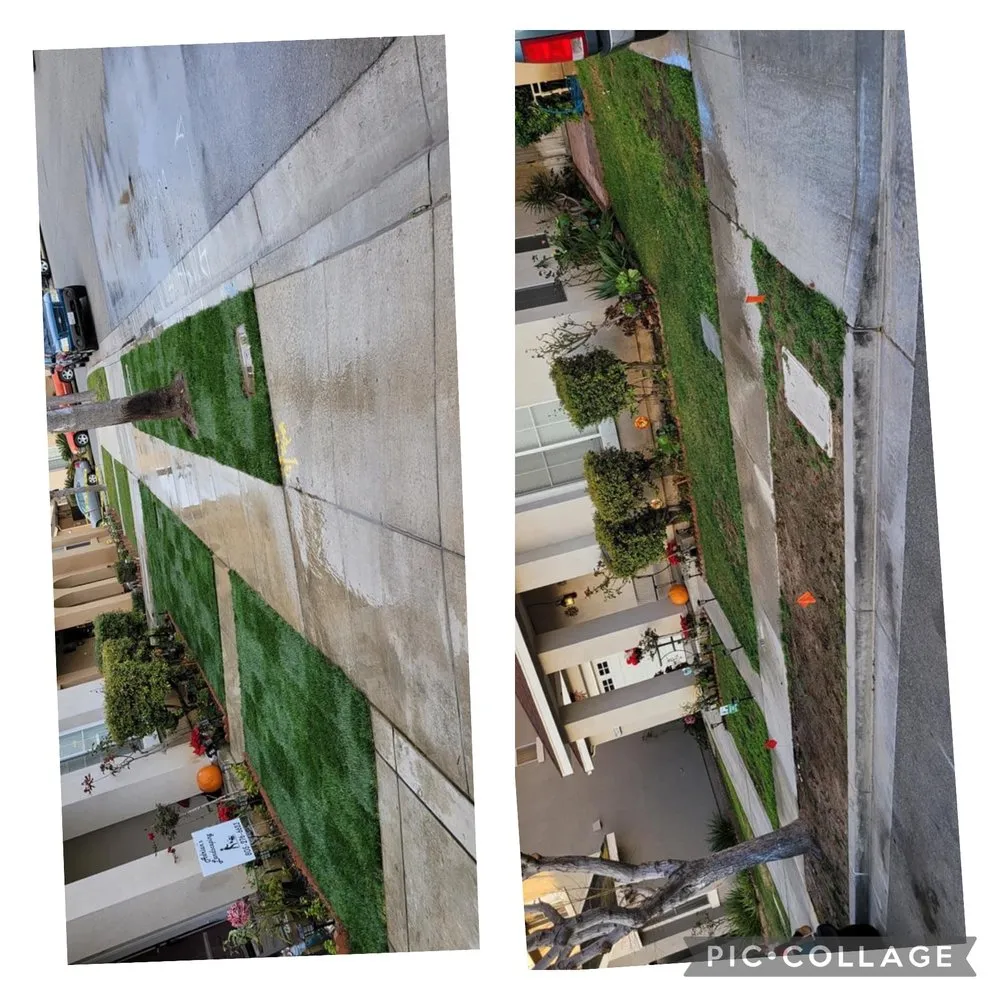 Local landscape design experts serving Ventura, CA - Viveros Landscaping