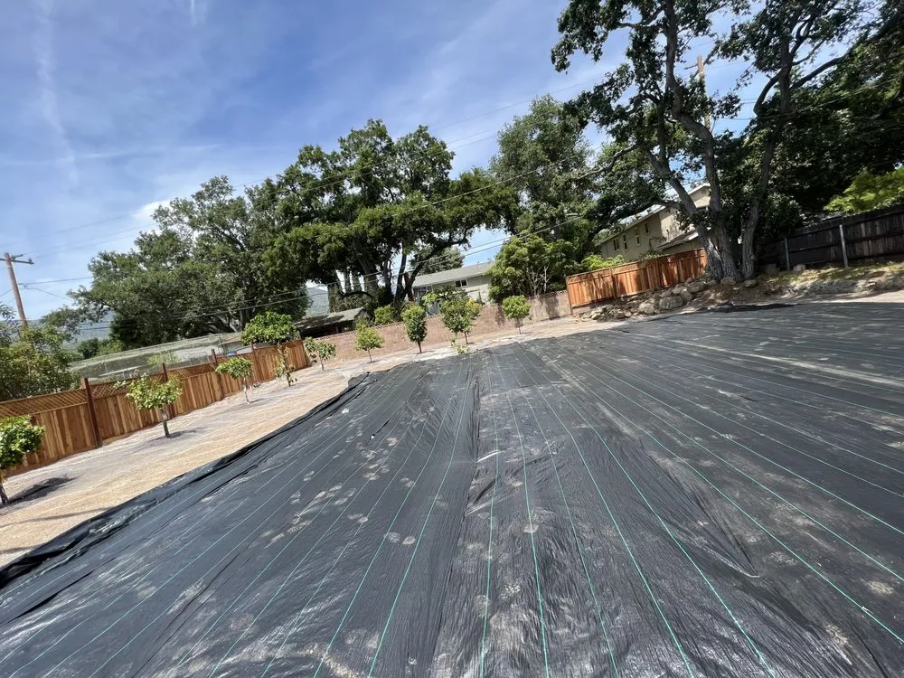 Expert landscape installation in Ventura, CA by Viveros Landscaping