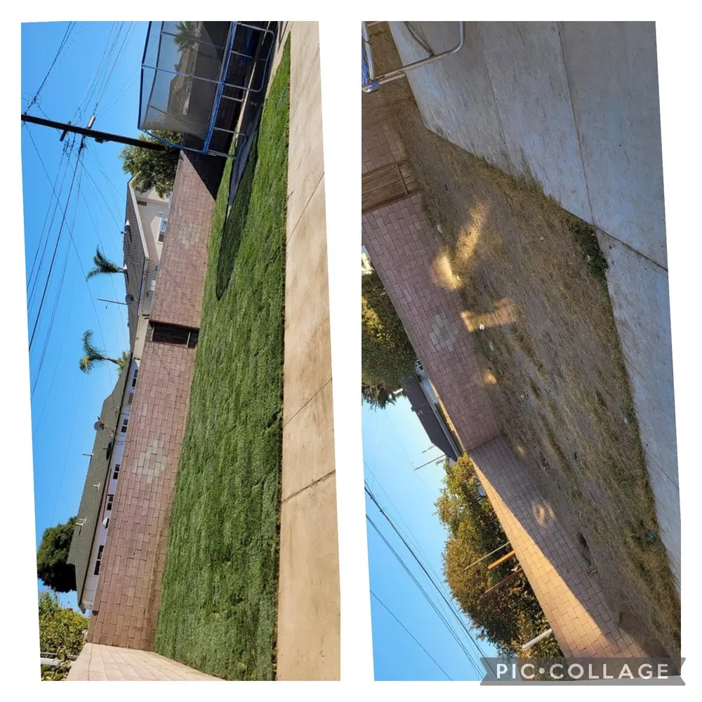 Reliable landscaping services in Ventura, CA by Viveros Landscaping