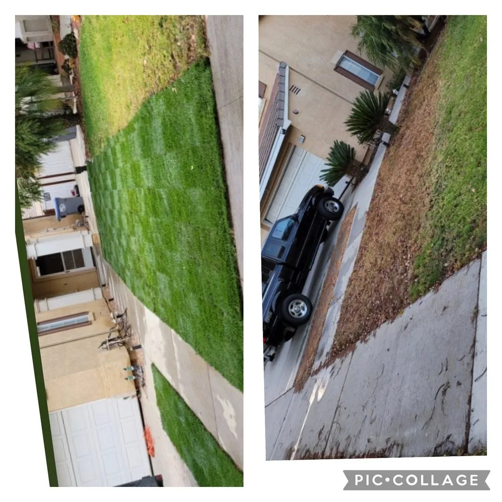 Professional outdoor landscaping in Ventura, CA by Viveros Landscaping