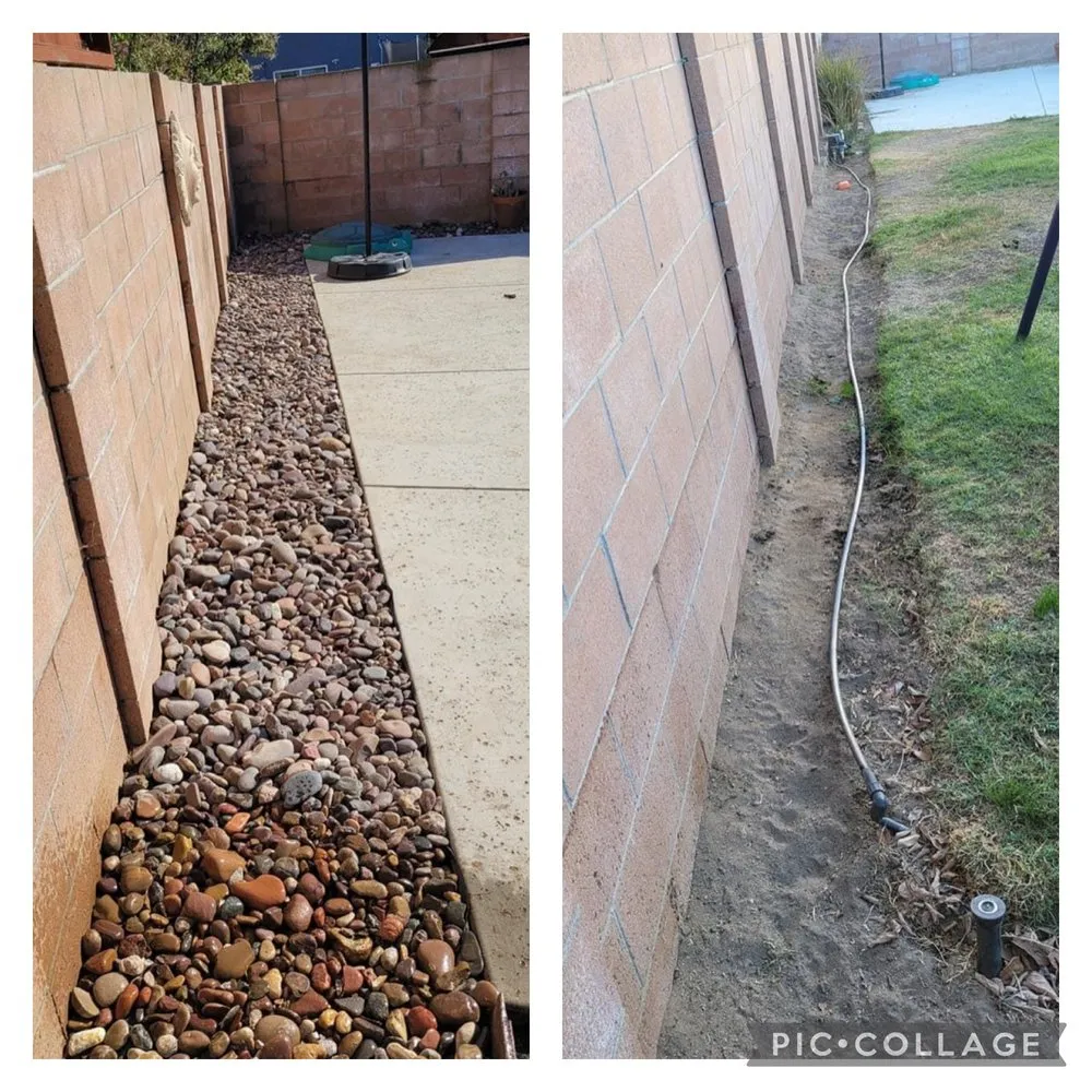 Local landscape design for year-round maintenance in Ventura, CA by Viveros Landscaping