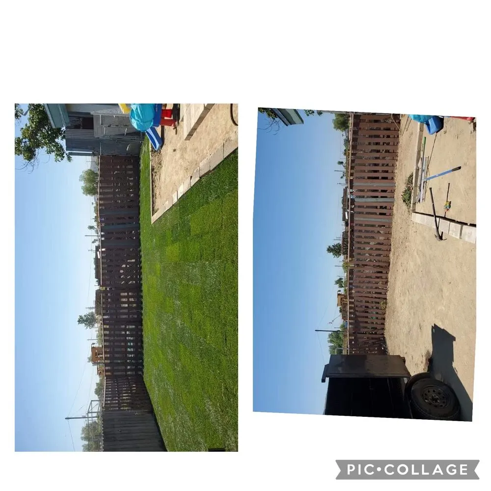 Trusted landscaping services for beautiful yards in Ventura, CA by Viveros Landscaping