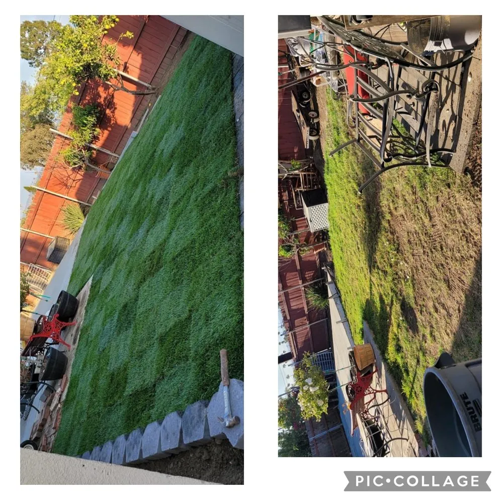 Affordable residential landscaping in Ventura, CA by Viveros Landscaping