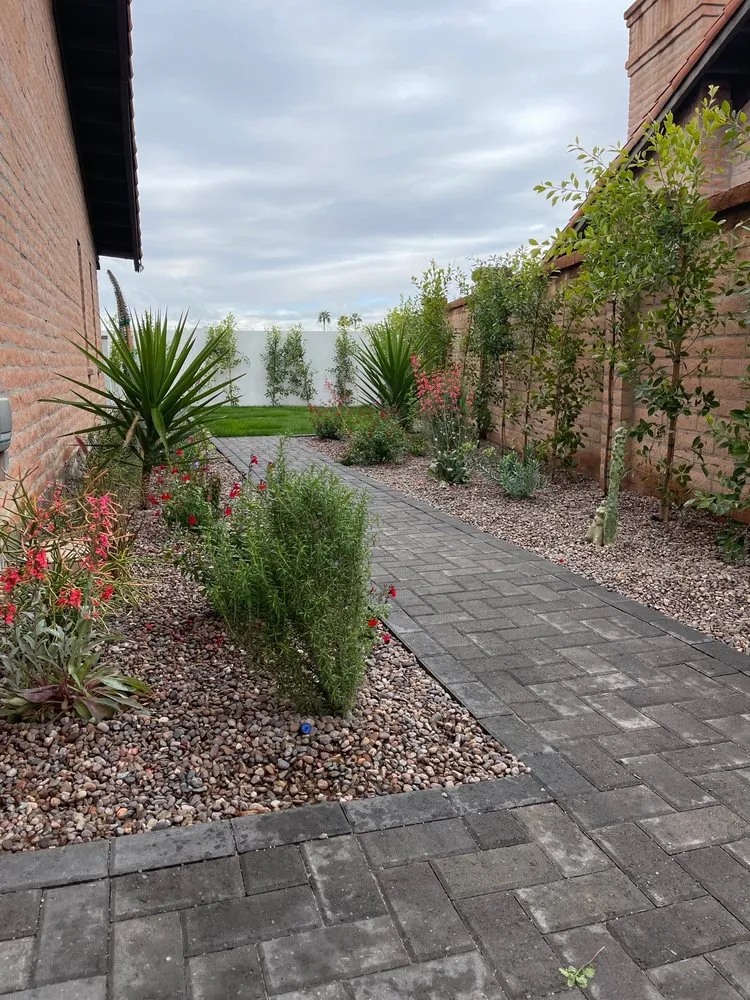 Affordable lawn care service in Phoenix, AZ by Viveros Vision Landscapes