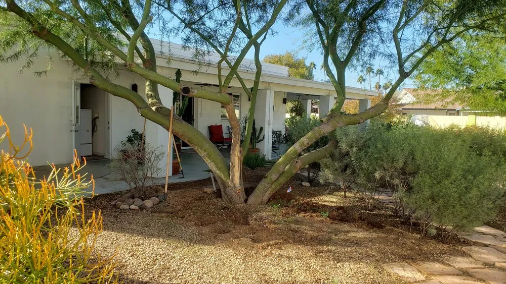 Local lawn mowing service experts serving Phoenix, AZ - Viveros Vision Landscapes