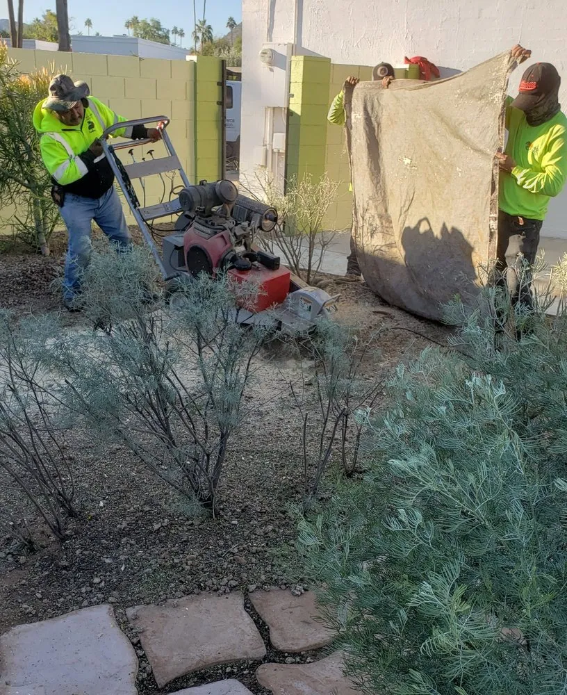 Custom landscaping services experts serving Phoenix, AZ - Viveros Vision Landscapes