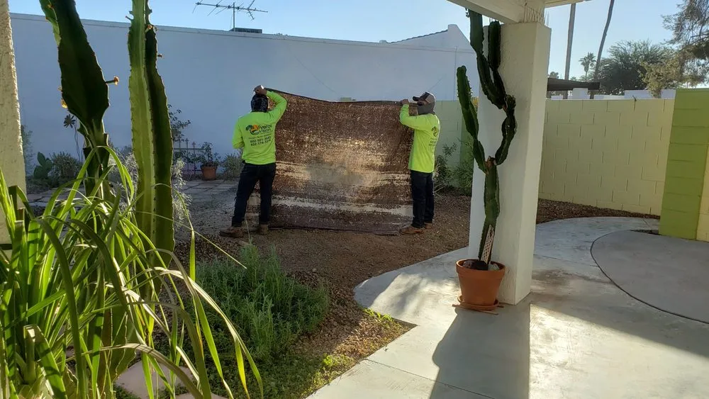 Custom yard maintenance in Phoenix, AZ by Viveros Vision Landscapes