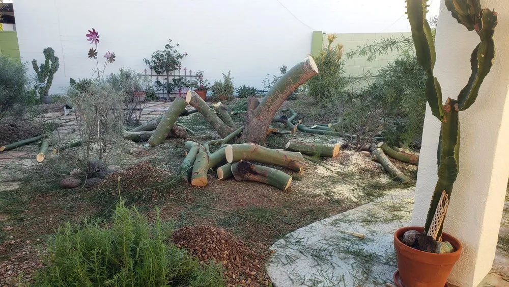 Top-rated outdoor landscaping in Phoenix, AZ - Viveros Vision Landscapes