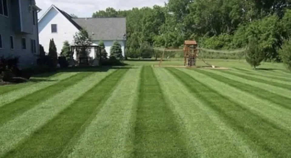 Local outdoor landscaping for homes in Utica, MS by Viviano Landscaping