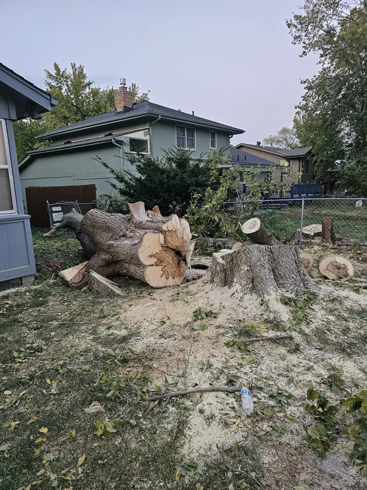 Professional outdoor landscaping in Omaha, NE by Vivians Lawn Care and Landscape