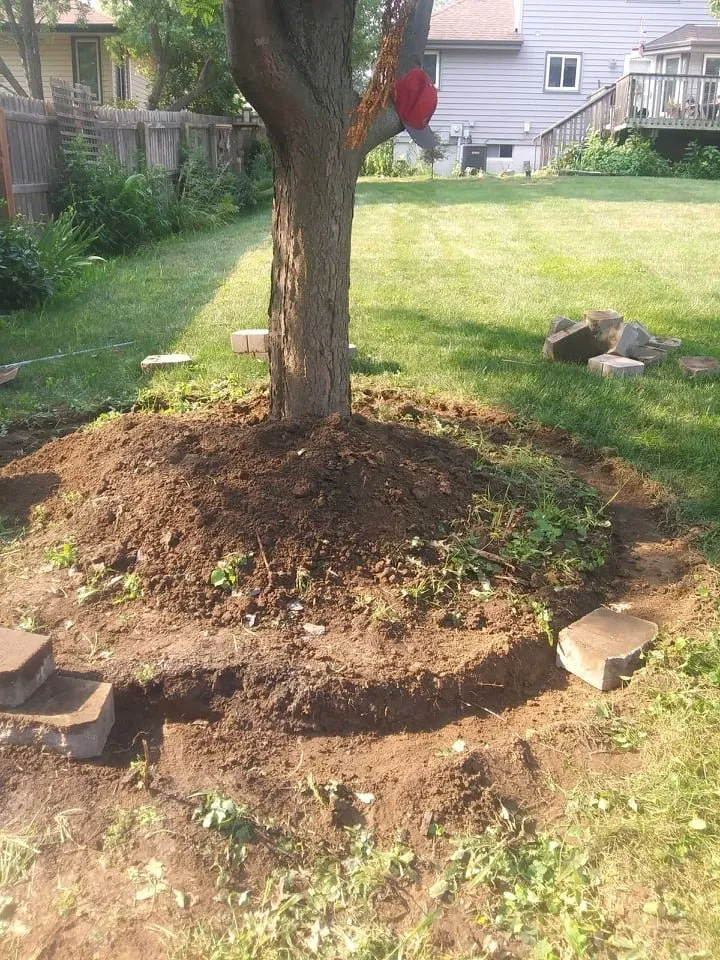 Trusted lawn care service in Omaha, NE - Vivians Lawn Care and Landscape