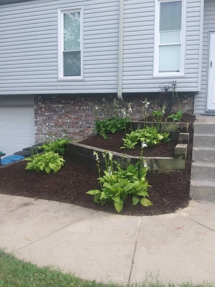 Top-rated outdoor landscaping near you in Omaha, NE by Vivians Lawn Care and Landscape