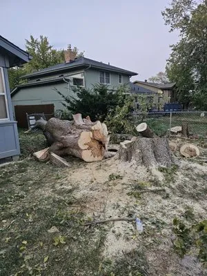 Vivians Lawn Care and Landscape Logo