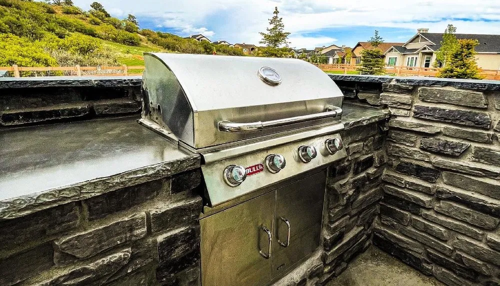 Local yard cleanup service experts serving Larkspur, CO - Vivid Colorado