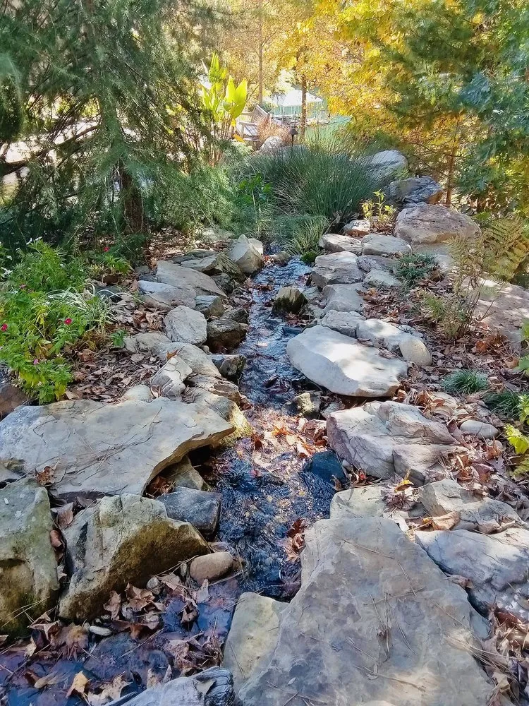 Top-rated yard cleanup service in Greenville, SC - Vivid Earth Land Designs