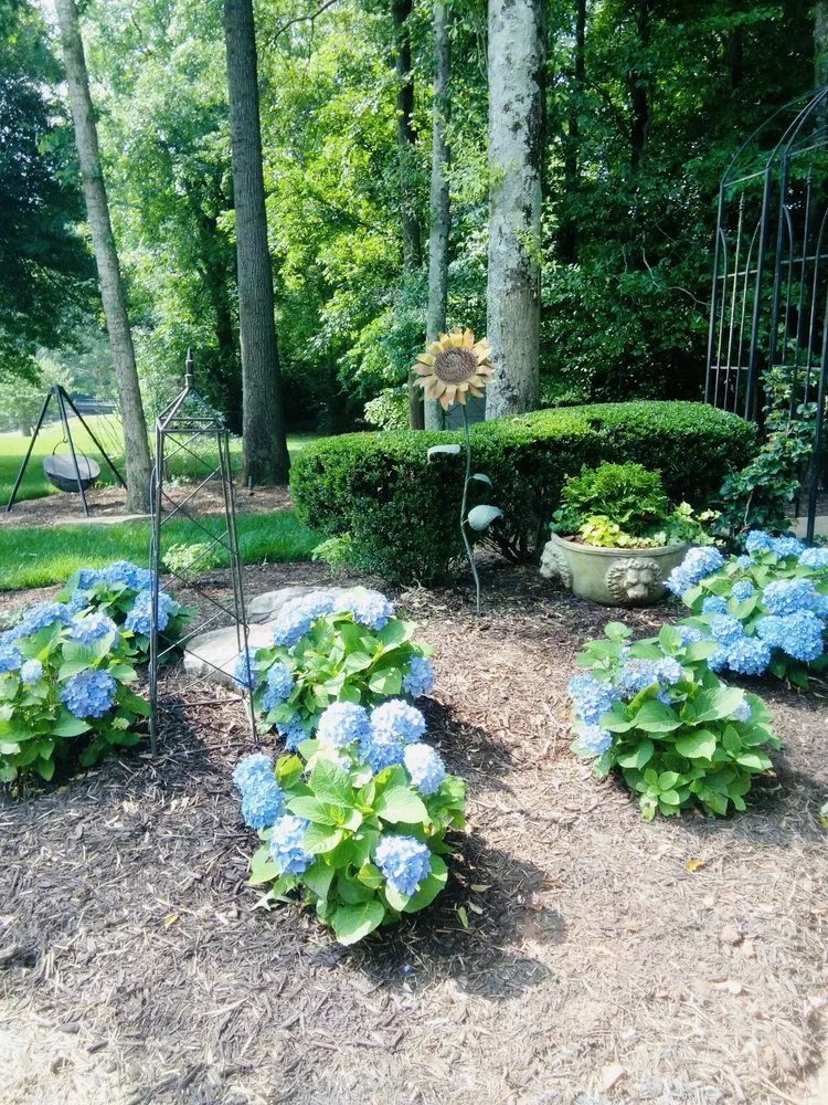 Custom landscaping services experts serving Greenville, SC - Vivid Earth Land Designs