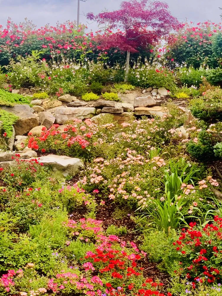 Expert landscape design experts serving Greenville, SC - Vivid Earth Land Designs