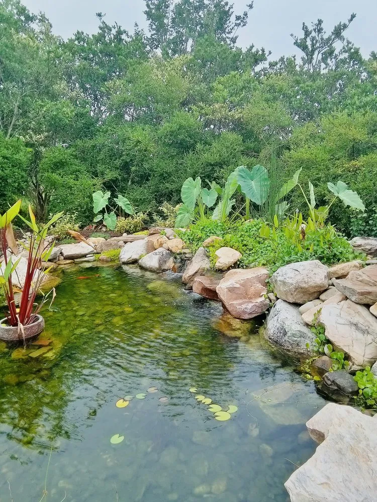 Custom lawn care service in Greenville, SC by Vivid Earth Land Designs