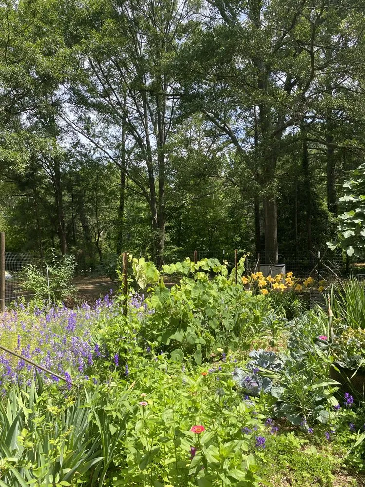 Top-rated outdoor landscaping for year-round maintenance in Greenville, SC by Vivid Earth Land Designs