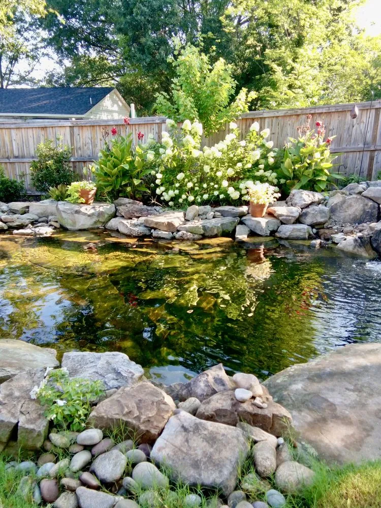 Trusted yard cleanup service in Greenville, SC - Vivid Earth Land Designs