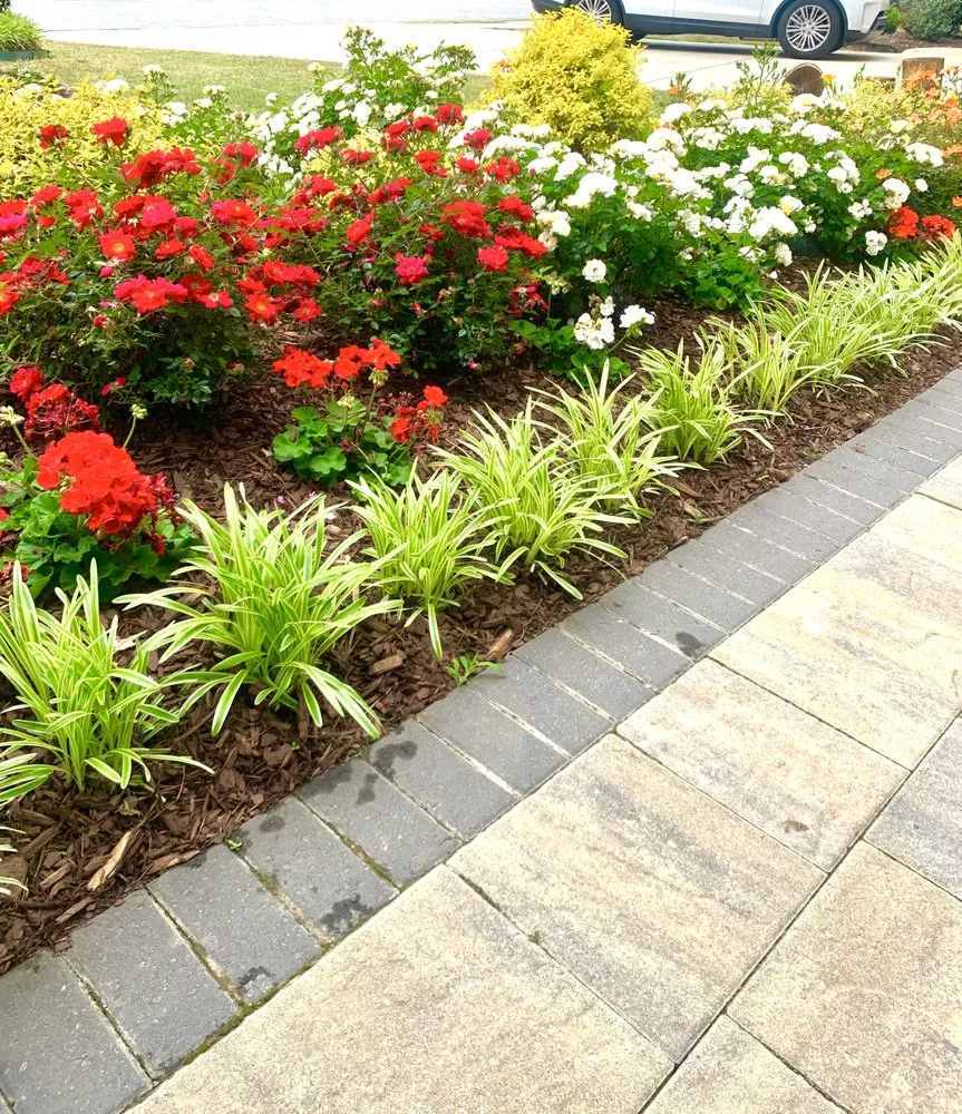 Expert landscaping services with custom design in Greenville, SC by Vivid Earth Land Designs