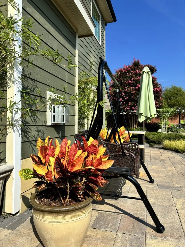 Trusted residential landscaping in Greenville, SC by Vivid Earth Land Designs