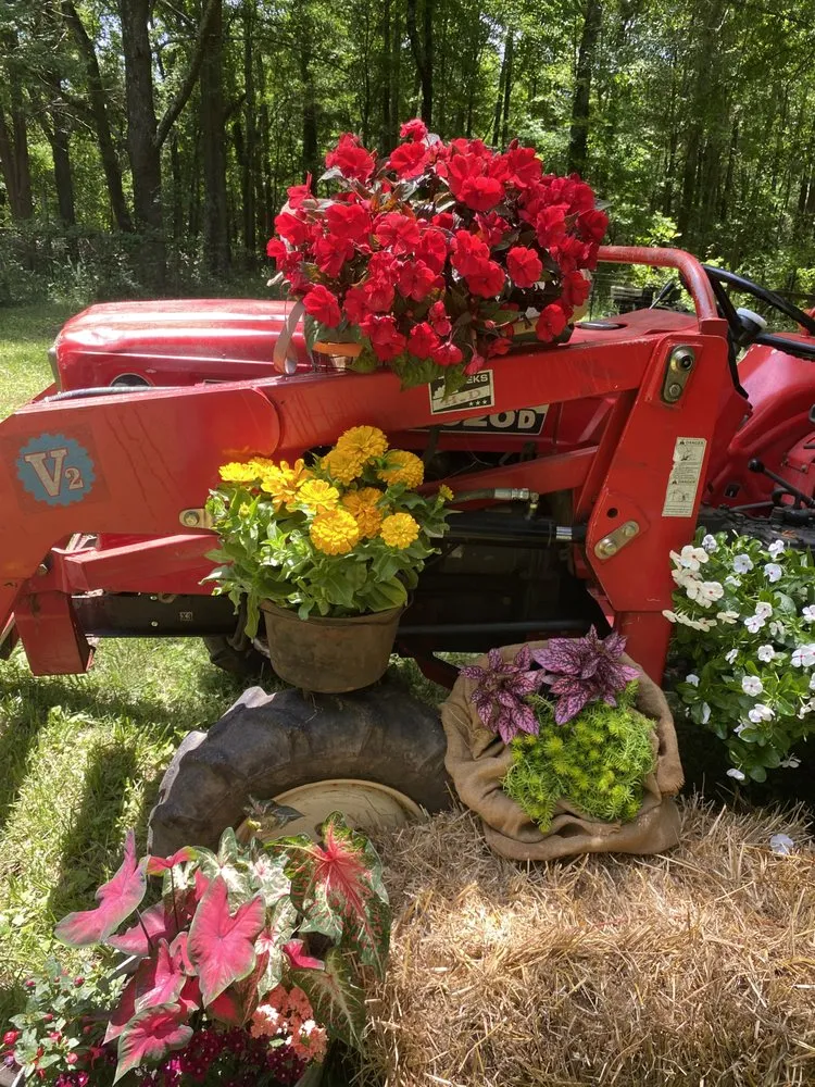 Top-rated lawn care service experts serving Greenville, SC - Vivid Earth Land Designs