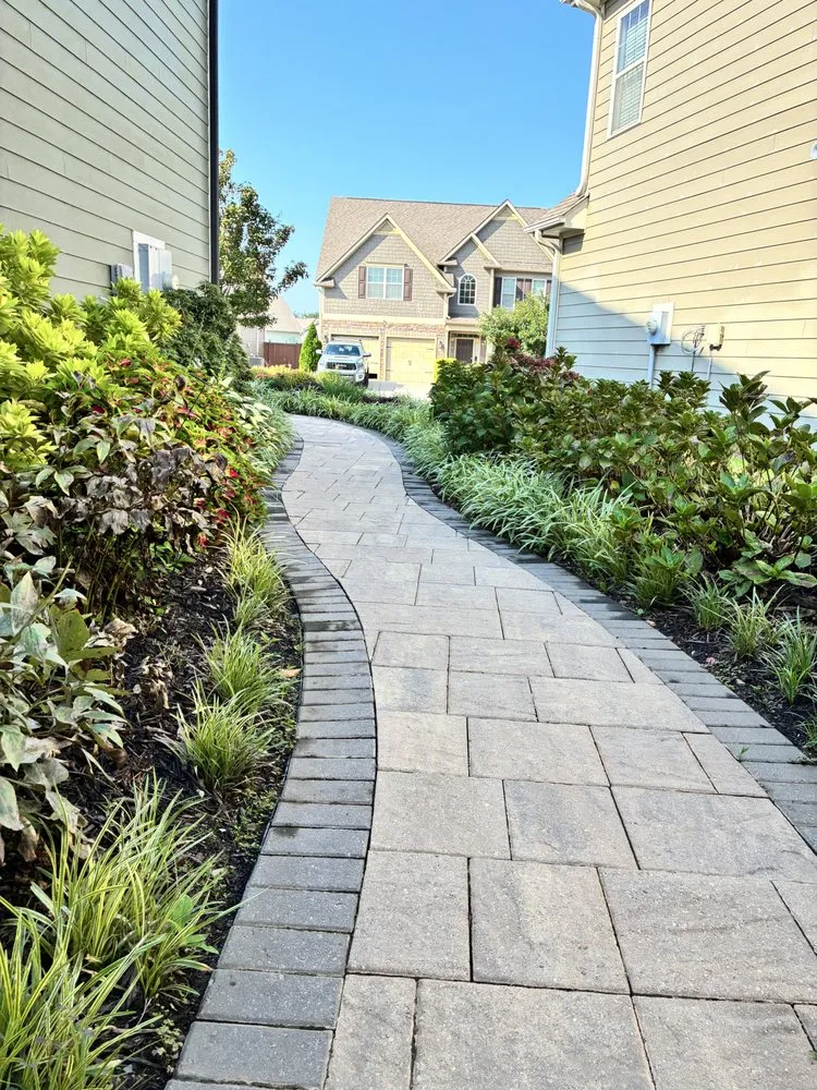 Professional residential landscaping in Greenville, SC - Vivid Earth Land Designs