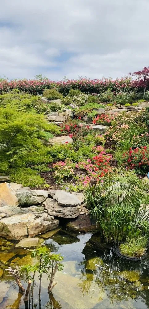 Top-rated residential landscaping near you across Greenville, SC - Vivid Earth Land Designs