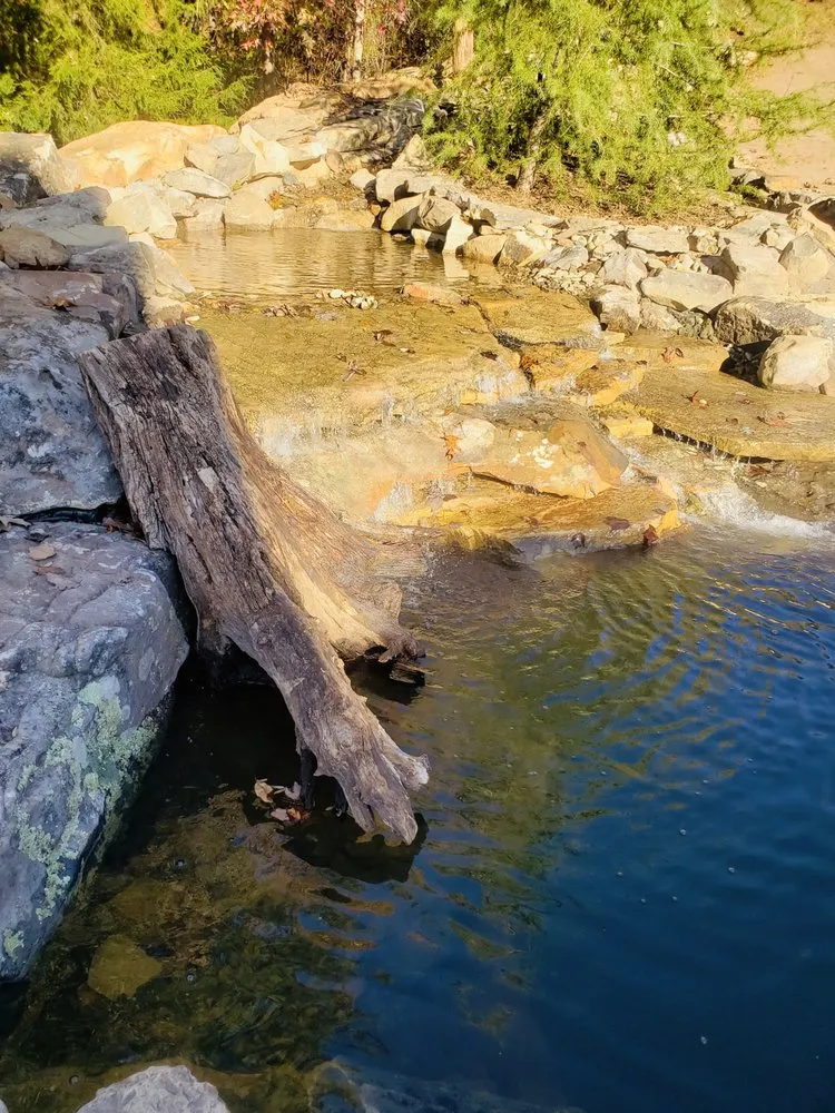 Local lawn mowing service near you across Greenville, SC - Vivid Earth Land Designs