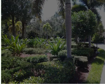 Trusted landscaping services in Loxahatchee, FL by Vivid Green Landscaping