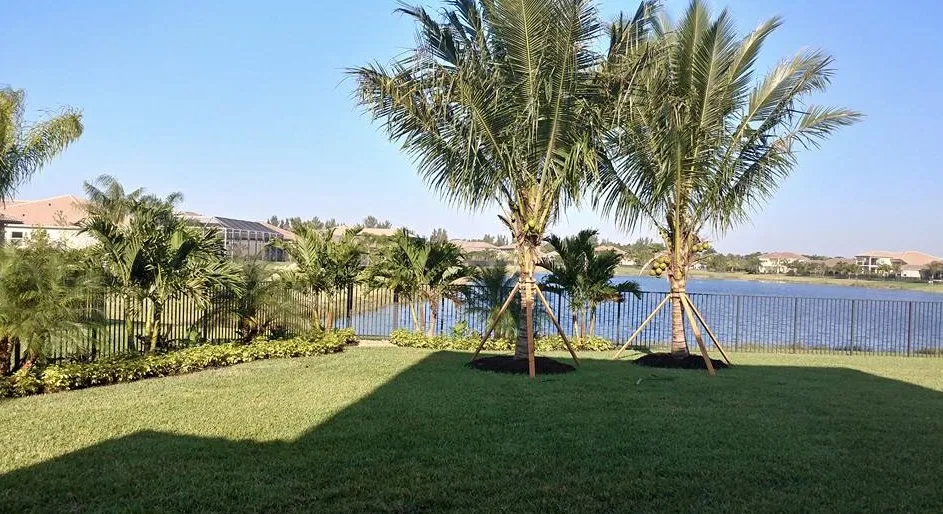 Local residential landscaping in Loxahatchee, FL by Vivid Green Landscaping