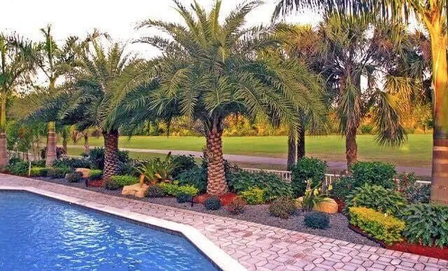 Reliable outdoor landscaping in Loxahatchee, FL by Vivid Green Landscaping