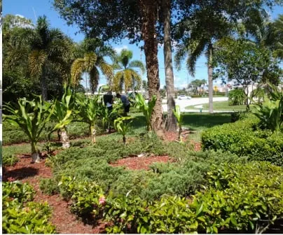 Custom landscaping services for homes across Loxahatchee, FL - Vivid Green Landscaping