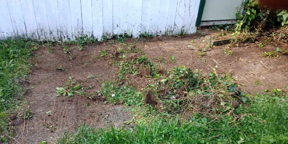 Local landscape design in Albion, NY by Vivid Handyman Services