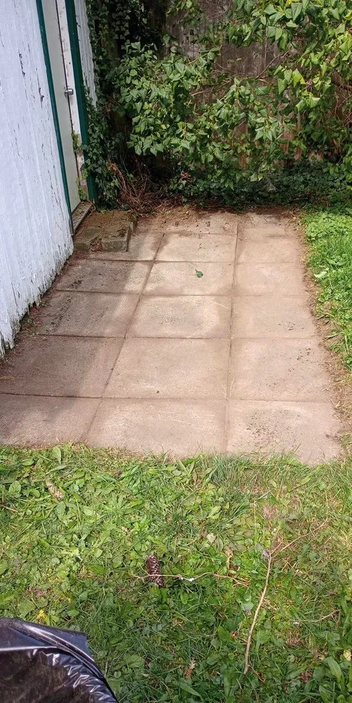 Professional landscape installation for beautiful yards across Albion, NY - Vivid Handyman Services