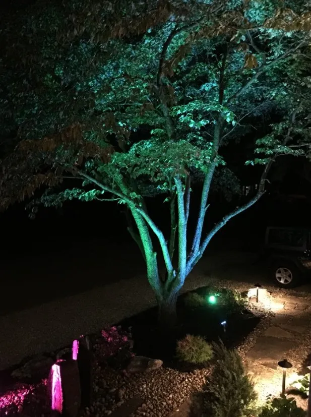 Top-rated yard cleanup service in Evansville, IN by Vivid Landscape & Lighting