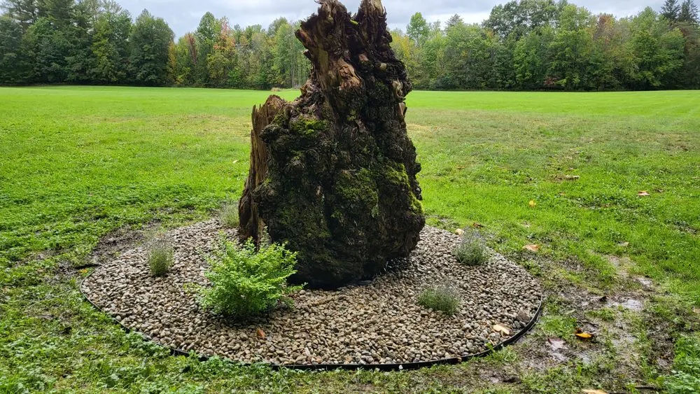 Expert lawn care service in Fulton, NY - Vivid Landscape LawnCare