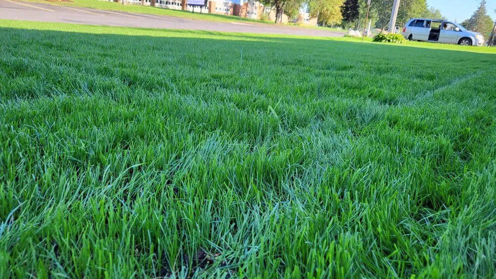 Reliable landscape installation for year-round maintenance across Fulton, NY - Vivid Landscape LawnCare