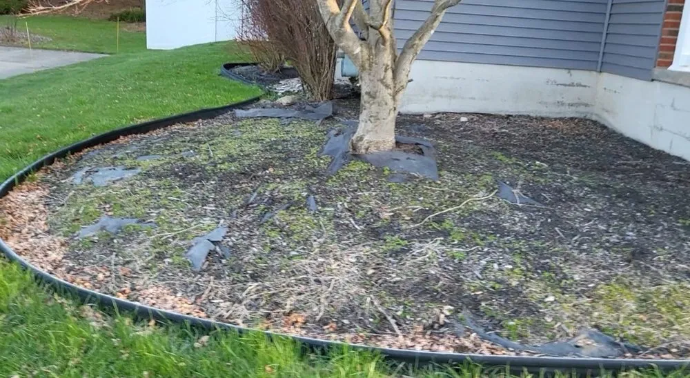 Reliable landscape design in Fulton, NY - Vivid Landscape LawnCare