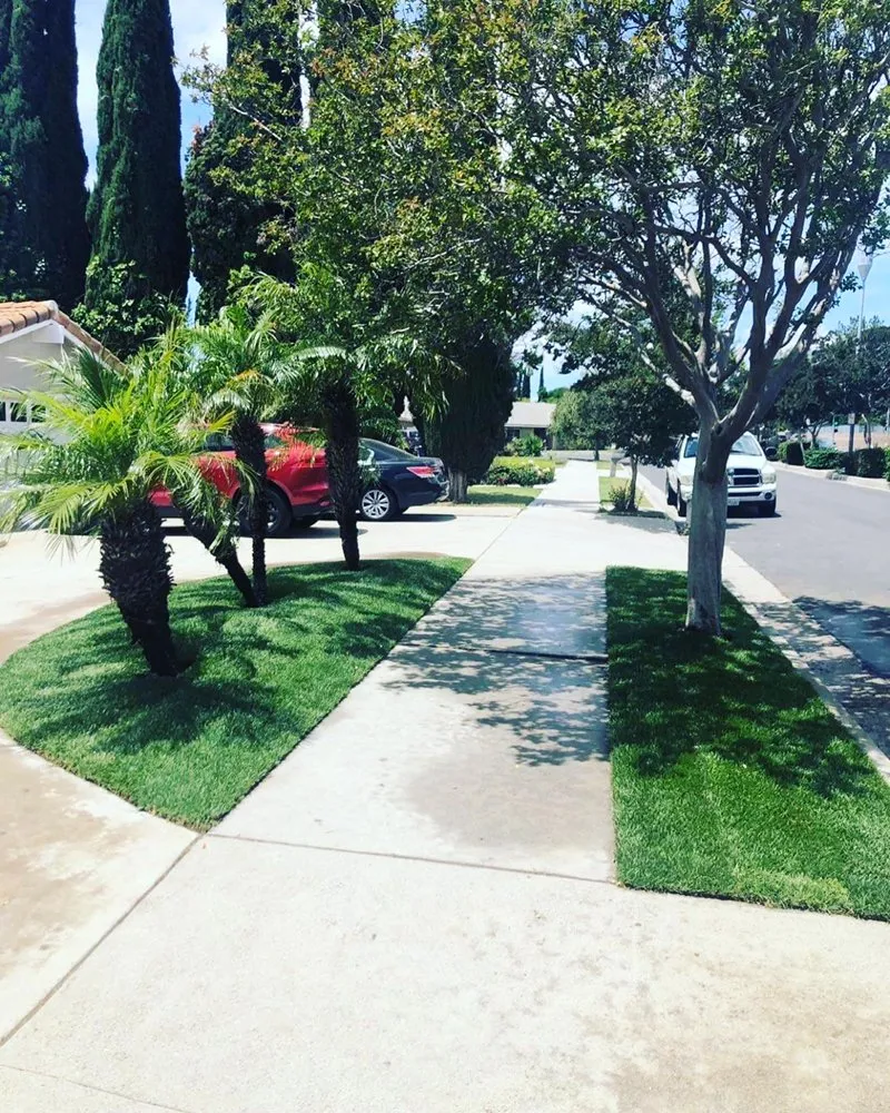 Affordable landscape design for residential properties in Los Angeles, CA by Vivid Landscape Services