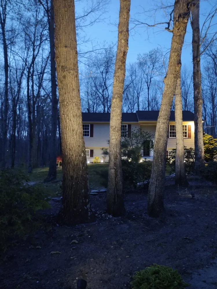 Expert garden landscaping for year-round maintenance in Woodbury, NJ by Vivid Landscapes