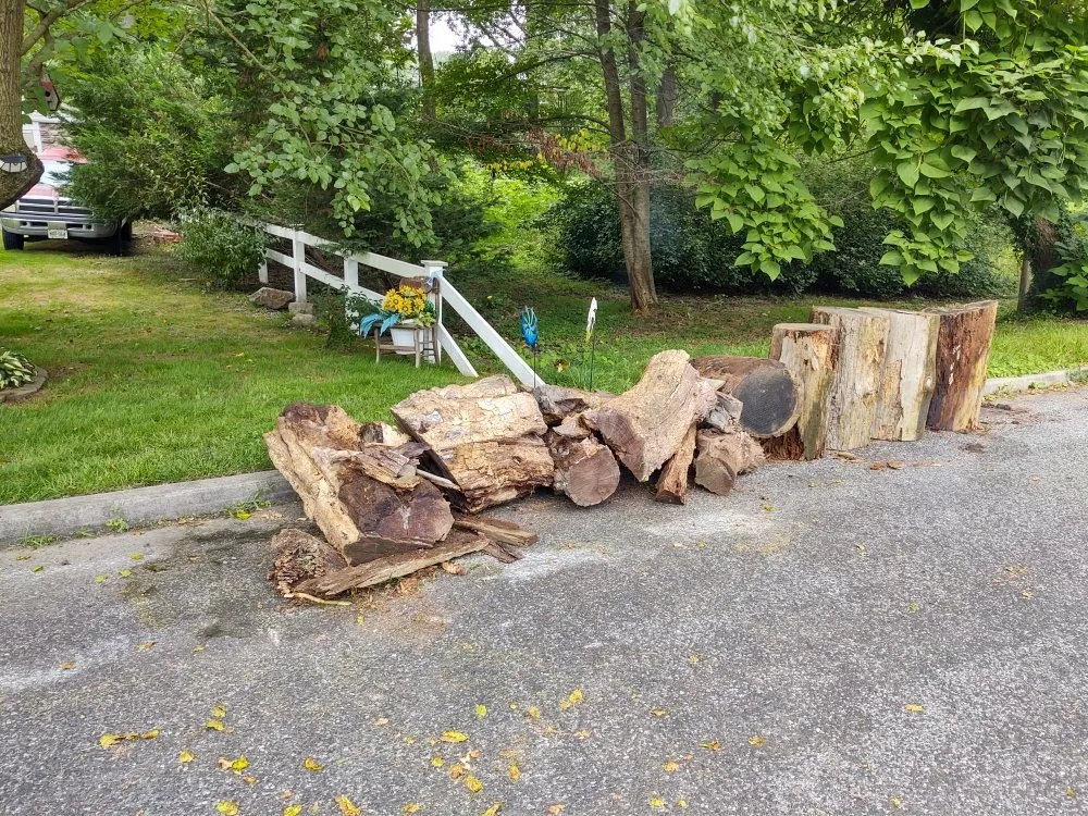 Professional residential landscaping with custom design in Woodbury, NJ by Vivid Landscapes