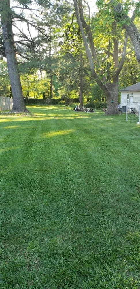 Top-rated landscape design in Woodbury, NJ - Vivid Landscapes