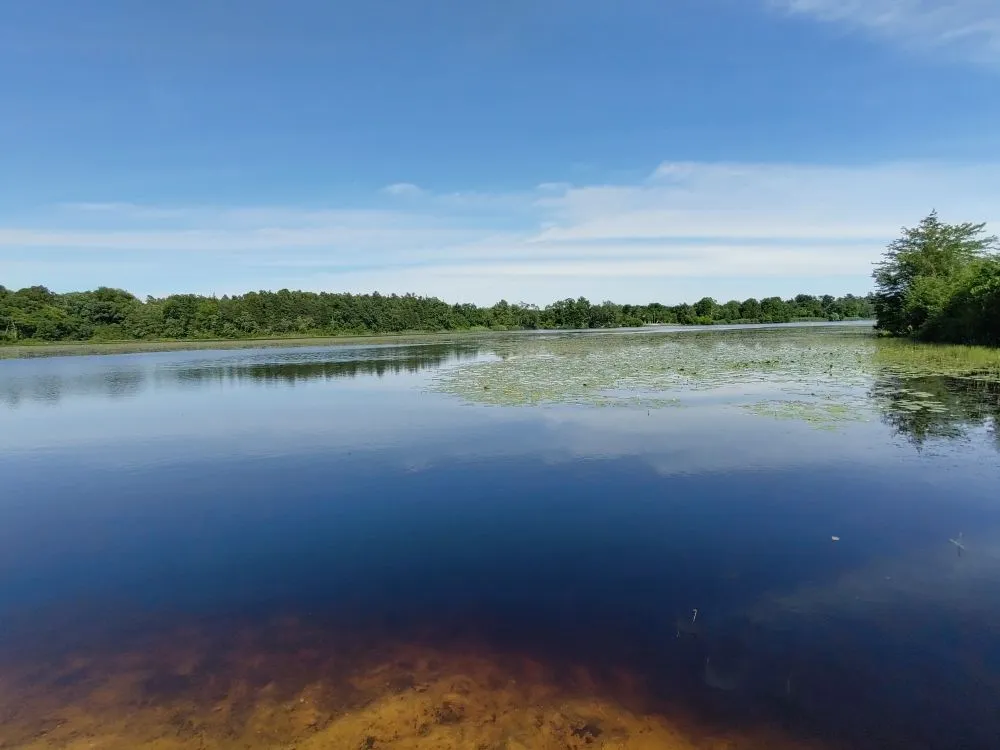 Professional yard cleanup service for outdoor upgrades across Woodbury, NJ - Vivid Landscapes