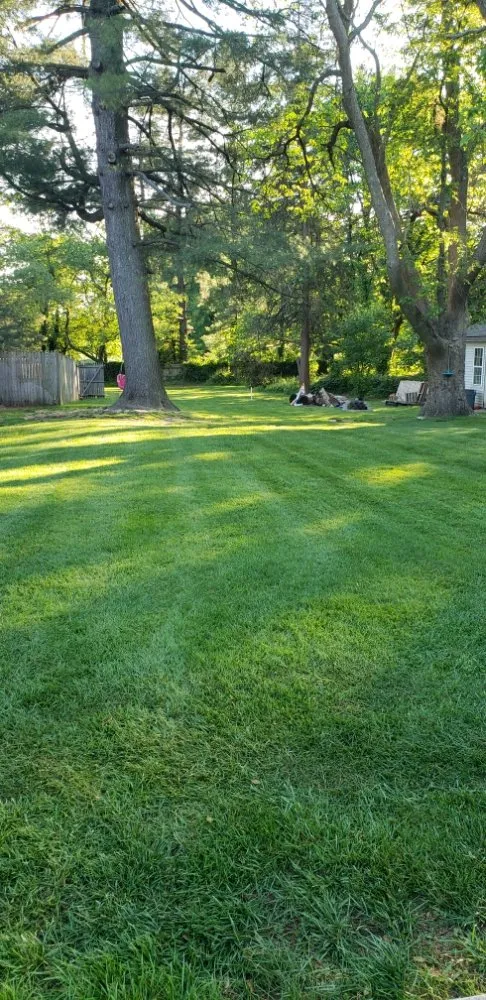 Expert yard cleanup service in Woodbury, NJ - Vivid Landscapes