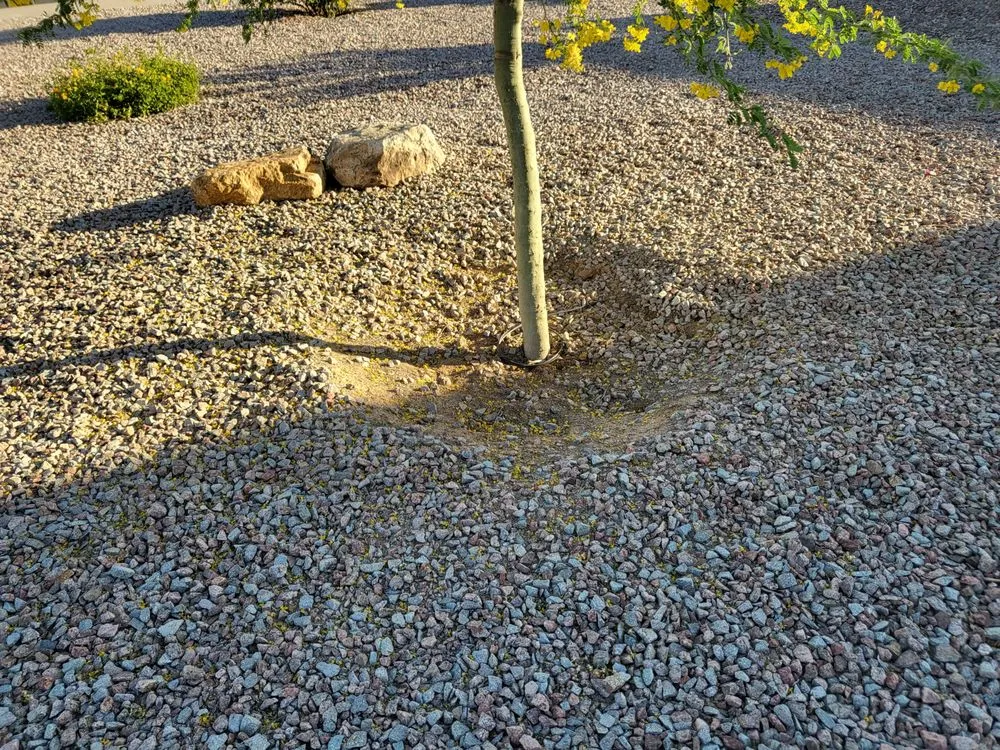 Trusted garden landscaping in Casa Grande, AZ by Vivid Landscaping
